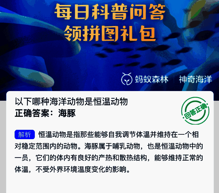 神奇海洋相关图片2