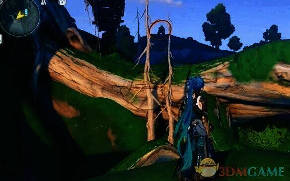 前方树的位置图片