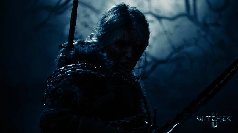 《巫师4》相关画面