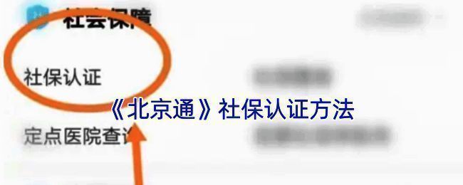 北京通社保认证相关界面示例图