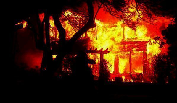 美国加州山火现场相关图片2