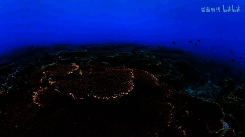 《碧蓝航线》相关宣传画面