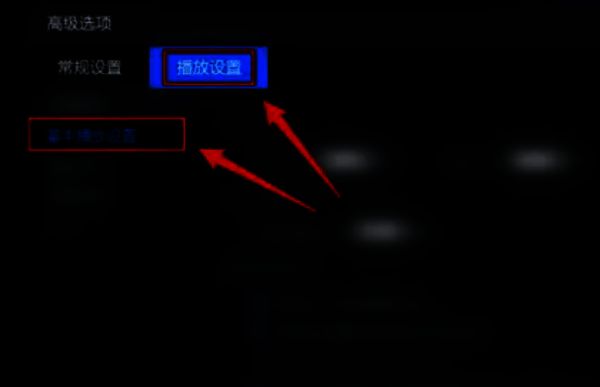 暴风影音5高级设置界面图片