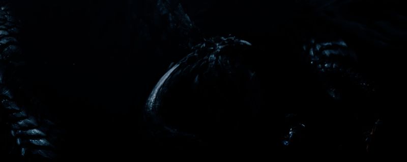 怪物猎人荒野游戏画面