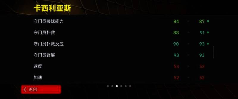 卡西利亚斯赛场英姿6