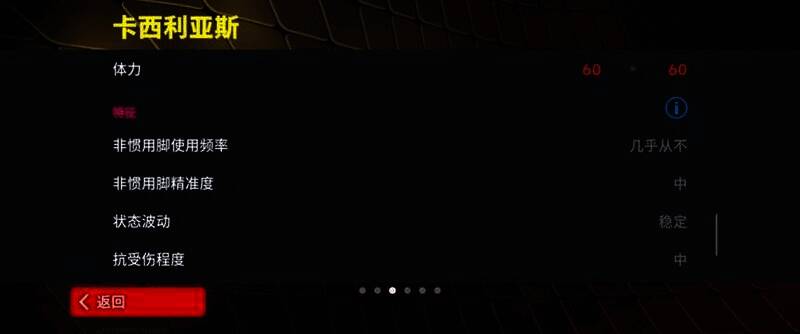 卡西利亚斯赛场英姿8