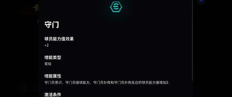 卡西利亚斯赛场英姿9