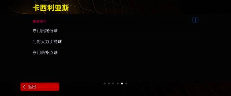 卡西利亚斯赛场英姿10