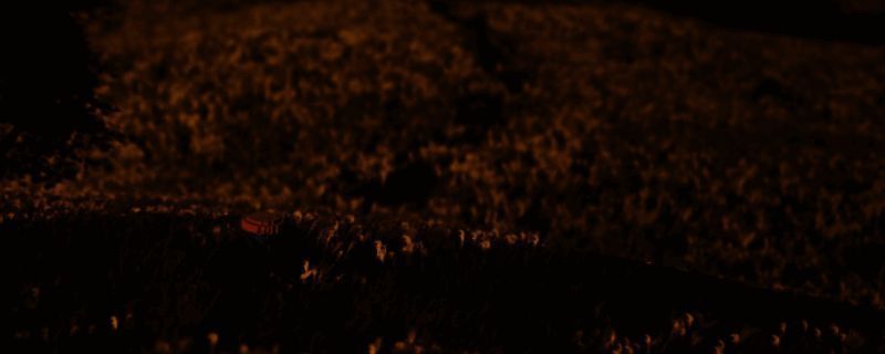 浪人踪迹相关图片1