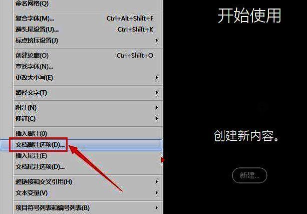 点击文档脚注选项界面图片