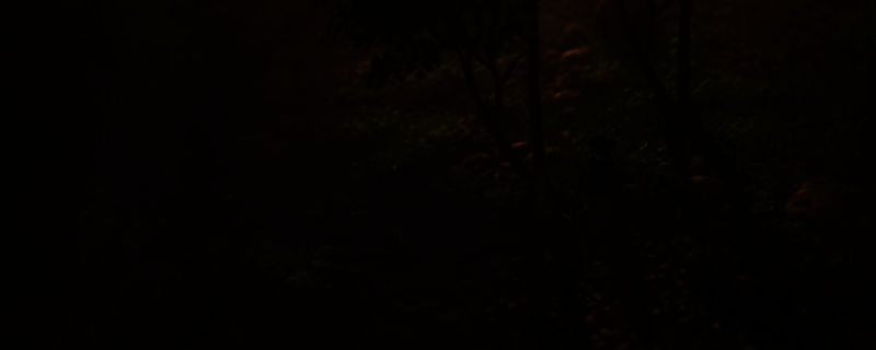 浪人踪迹游戏画面相关图片