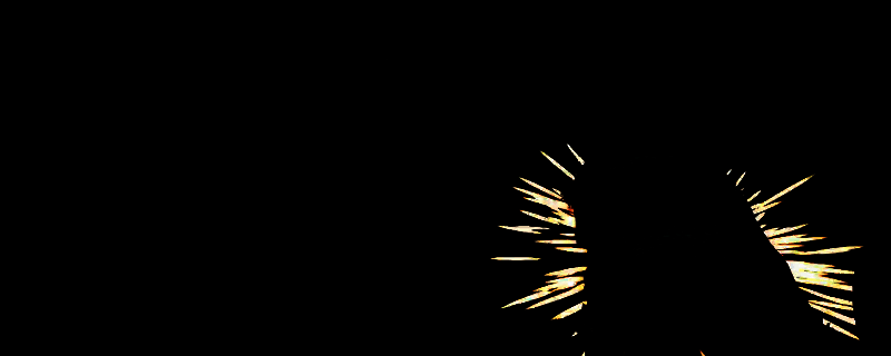 《刺客信条:影》相关游戏画面