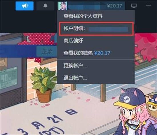 Steam账户明细入口界面图