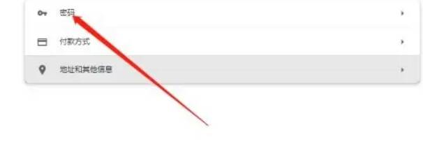 手动添加网站密码界面