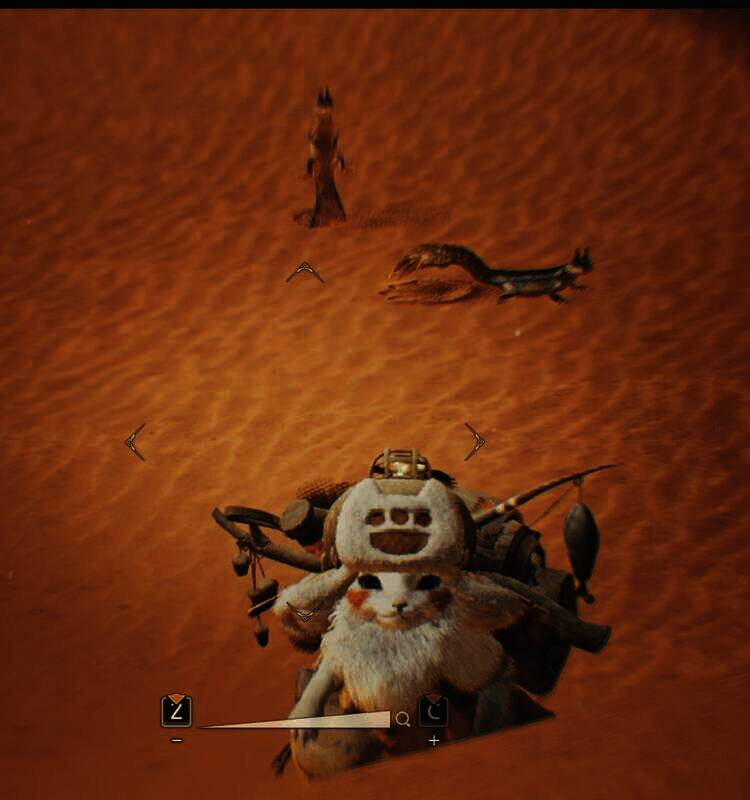 足迹蜥蜴的外观