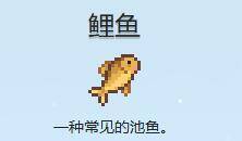 星露谷物语中的鲤鱼图片