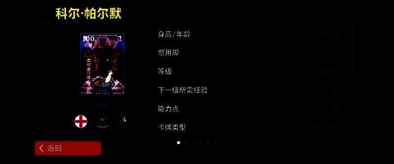 帕尔默比赛数据展示图片