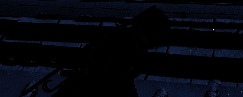 《刺客信条:影》游戏画面