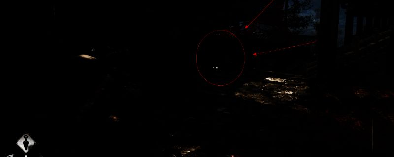 刺客信条:影游戏画面展示