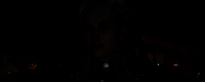 怪物猎人:荒野弹刀场景示意