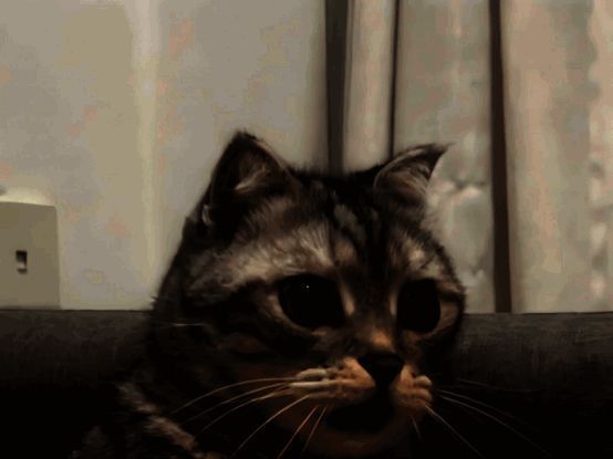 拉格朗日游戏画面截图