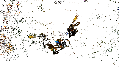 维迦实战效果动图