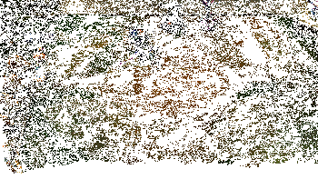 雷恩加尔实战动图