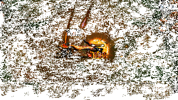 赛娜实战效果动图