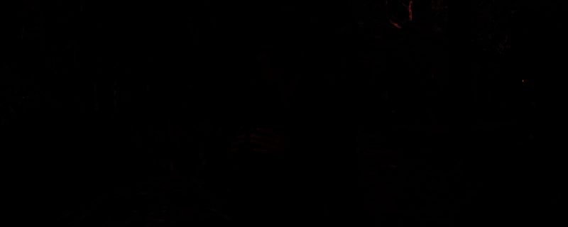 《刺客信条:影》游戏画面相关图片