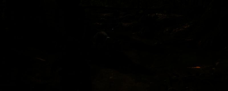 刺客信条影忠犬伸冤支线任务相关图片