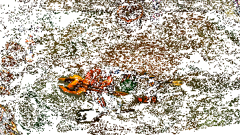 莫德凯撒实战效果动图