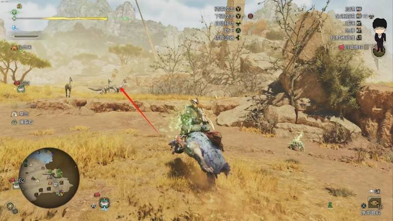 眠草和蜂蜜采集路线图1