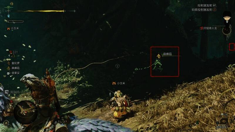 麻痹菇和蜂蜜采集位置图3