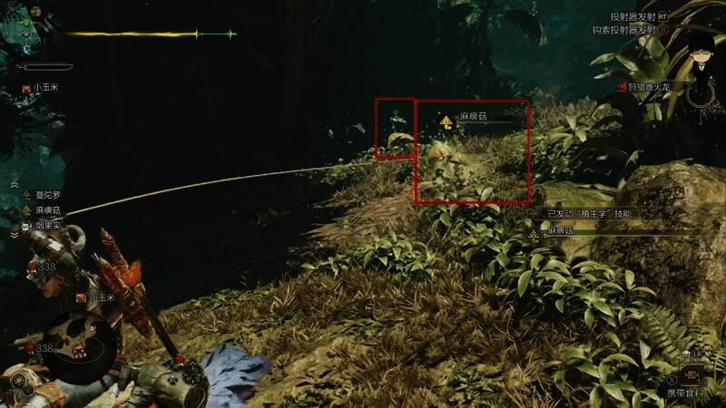 麻痹菇和蜂蜜采集位置图4