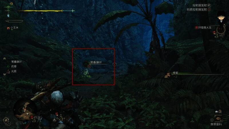 麻痹菇和蜂蜜采集路线图3