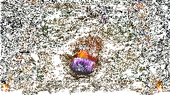 金克丝实战效果动图