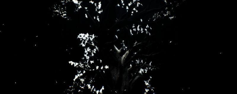 《Dolls Nest》游戏相关图片1