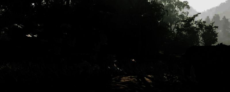 《刺客信条：影》朱脸鹮鹭墨绘相关图片