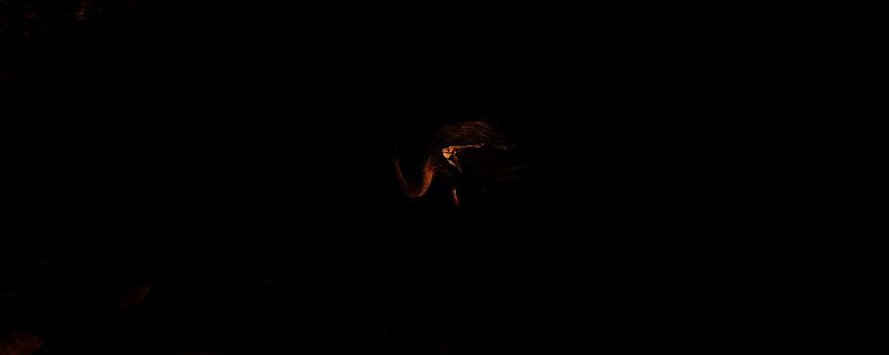 《刺客信条：影》相关游戏画面