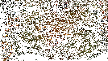 嘉文四世实战动图