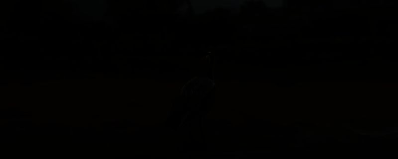 《刺客信条：影》苍鹭孑立墨绘相关场景