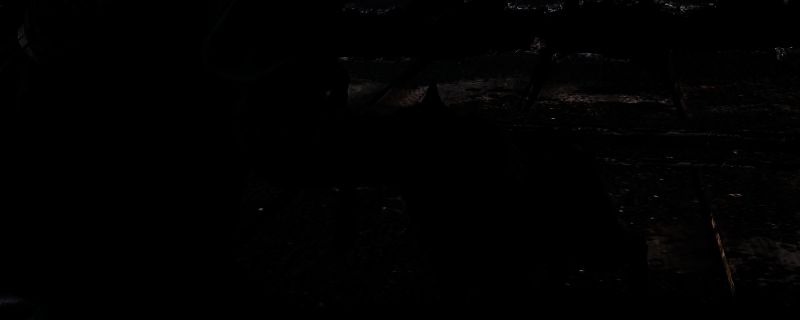 刺客信条影虎斑短尾猫宠物相关画面