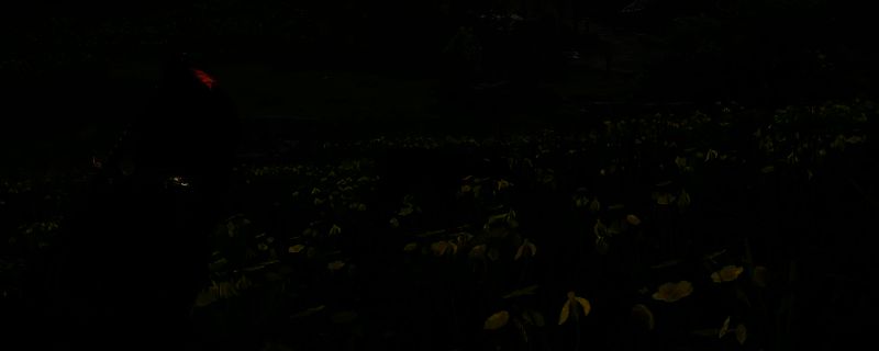 刺客信条影游戏中的场景图片