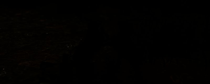 《刺客信条：影》游戏画面