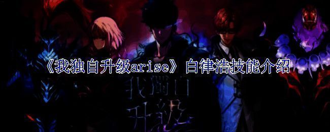 《我独自升级arise》游戏画面