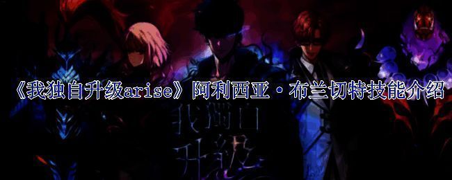 银鬃白律浩相关图片