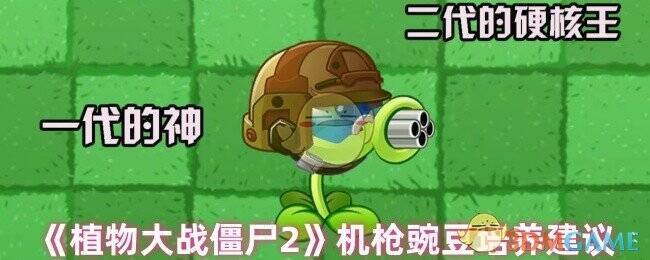 植物大战僵尸2机枪豌豆相关图片