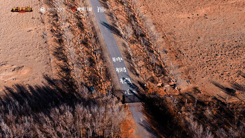 百万森林计划相关项目场景图