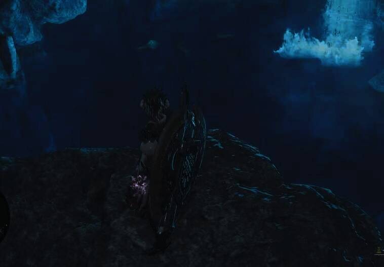 钓瑰丽盾章菊螺的点位