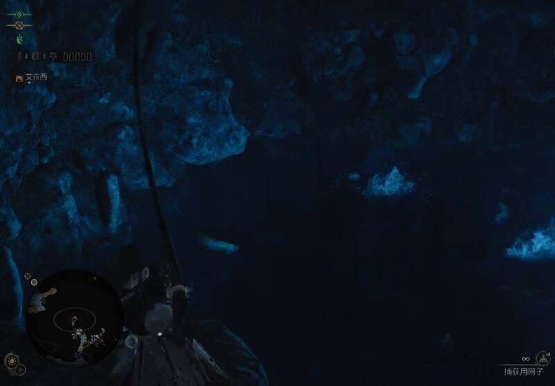 看到瑰丽盾章菊螺准备钓鱼